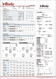 体成分結果用紙 (InBody380N)